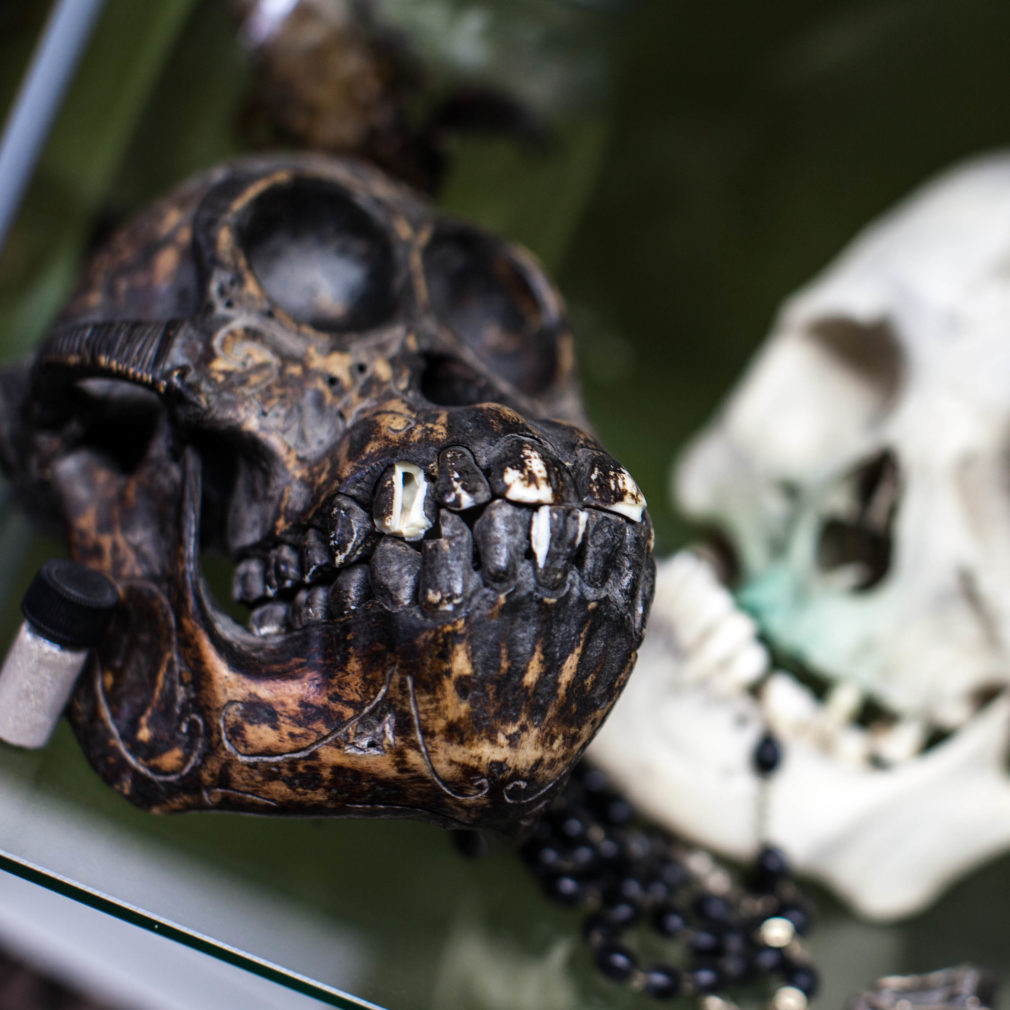 The Ace and Sword Tattoo Parlour Etobicoke Longbranch Toronto Dark Animal Skull