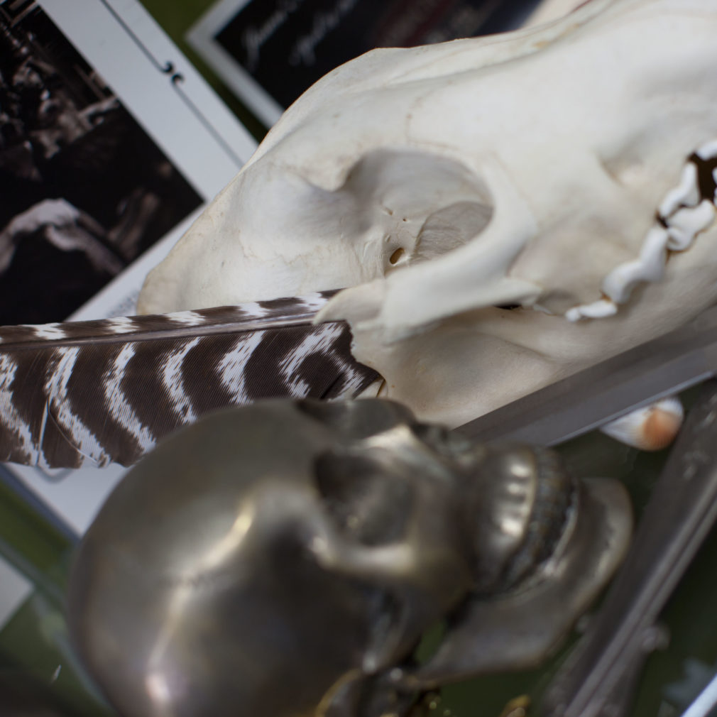 The Ace and Sword Tattoo Parlour Etobicoke Longbranch Toronto Light Animal Skull