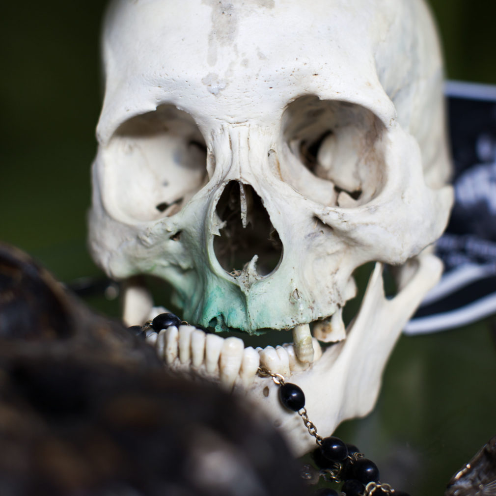 The Ace and Sword Tattoo Parlour Etobicoke Longbranch Toronto Skull