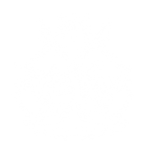 Ace and Sword Tattoo Parlour Etobicoke Longbranch Toronto Logo
